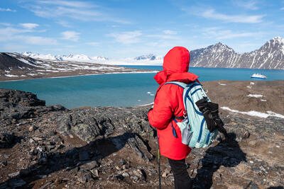 person standing atop a hill in the Arctic