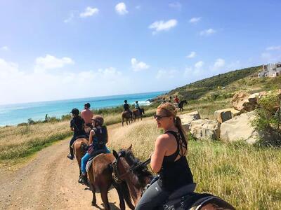 Horseback-Riding-St-Maarten