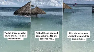 TikTok-Shark-CocoCay