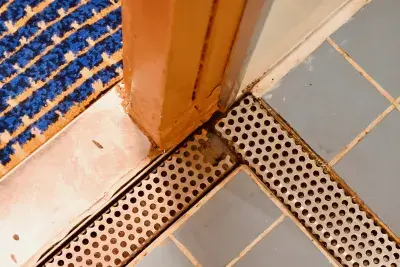 Drains