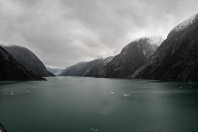 Endicott Arm Alaska