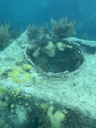 Shipwreck in Bermuda