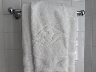 Disney-Cruise-Line-Towel