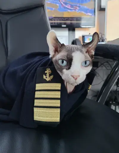 Captain Kate Bug