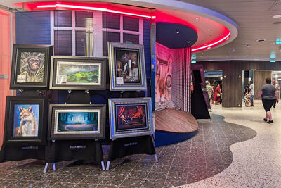 art on display on a cruise ship