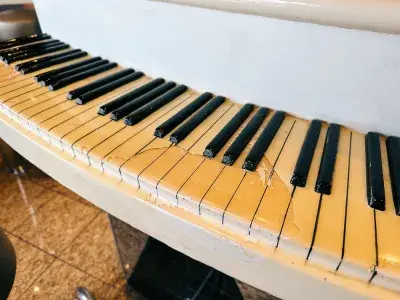 Carnival-Elation-Poor-Maintenance-Piano-Bar
