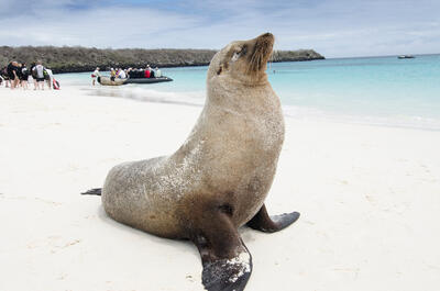 Galápagos-Excursion-Celebrity