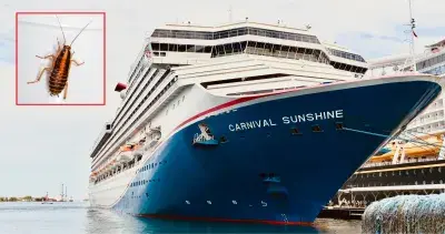 Carnival Sunshine Almost Fails Health Inspection