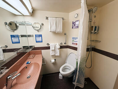 Carnival-Luminosa-Interior-Cabin-Bathroom-7