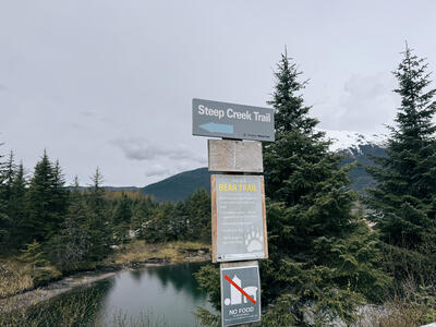 Mendenhall-Glacier-Steep-Creek-Trail