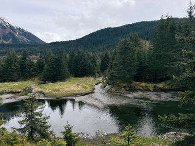 Mendenhall-Glacier-Visitor-Center-Juneau