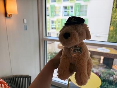 Rover-Plush-Toy-Icon