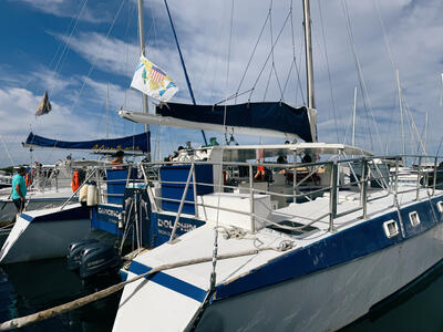 Royal-Signature-Excursion-St-Thomas