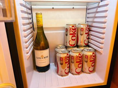 Stocked-Mini-Fridge-Carnival-Luminosa-