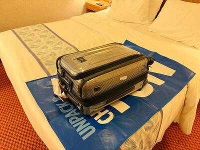 Suitcase-Cruise-Cabin-Carnival