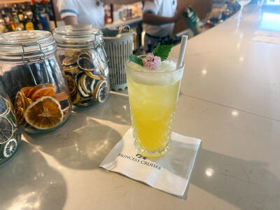 Sun-Princess-Cocktail-Dome