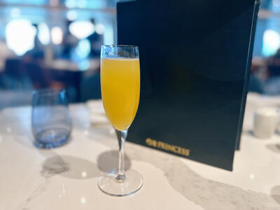 Sun-Princess-Mimosa