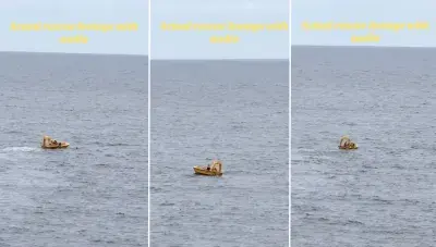 DCL-Overboard-TikTok-Rescue-2