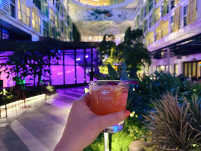 Icon-Cocktail-Drink-Package-5