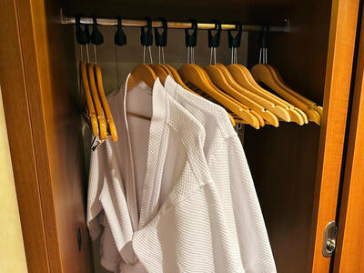 carnival-vista-junior-suite-hangers-1200x-800x