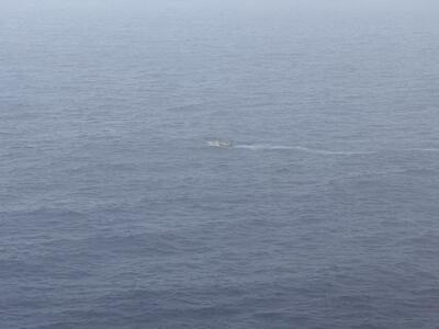 Crew-Overboard-Icon-2