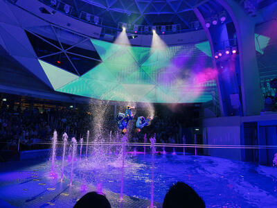 Icon-AquaTheater-Show