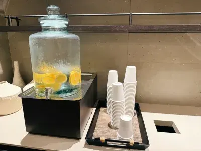 MSC-World-America-Thermal-Suite-Refreshment-Station