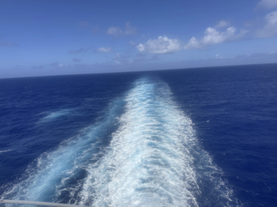 Celebrity Beyond Propeller Issue