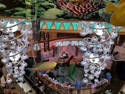 A solo violinist plays in the Flip Flop Atrium on Margaritaville at Sea's Islander cruise ship