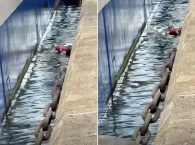 Man-Fell-Off-Pier-Nassau-1