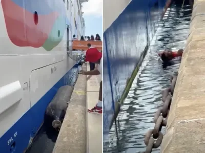 Man-Fell-Off-Pier-Nassau-Hero