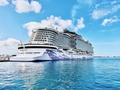 Ncl-Viva