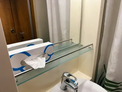 Carnival Elation Bathroom Storage