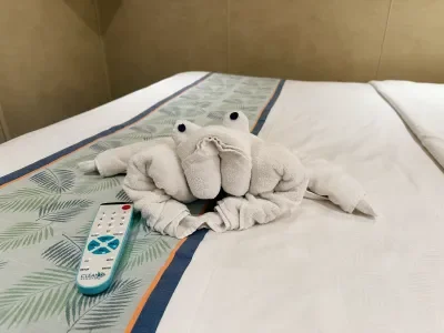 Carnival Elation Cabin Towel Animal
