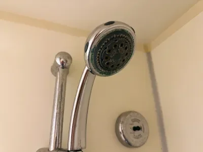 Carnival Elation Showerhead