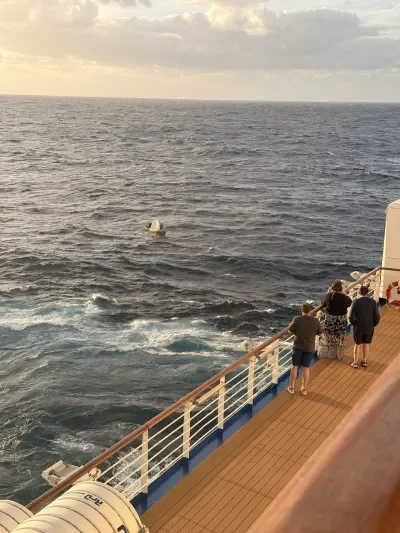 Regal Princess Rescue
