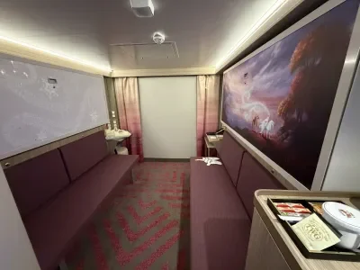Disney Adventure Cabin
