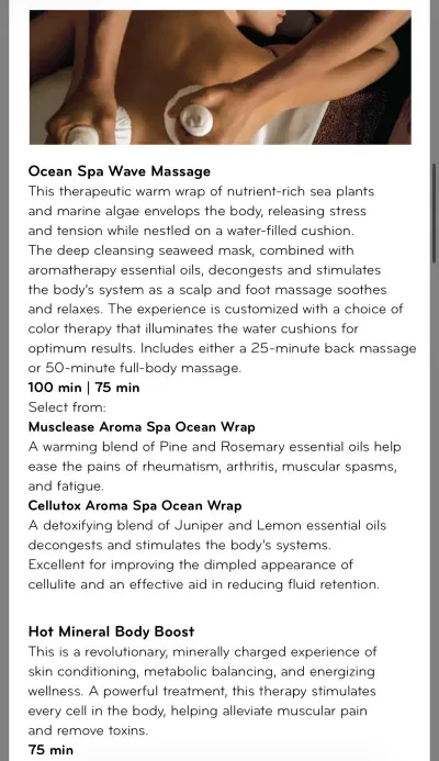 Carnival Spa Menu