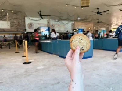 Celebration Key Cookie