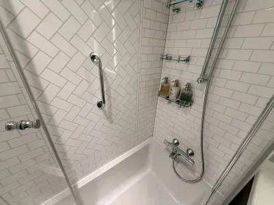 Disney Destiny Bathroom