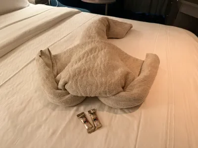 Disney Destiny Blanket Animal