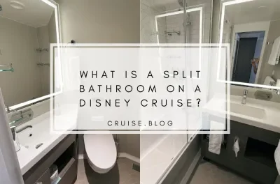 Disney Split Bathroom