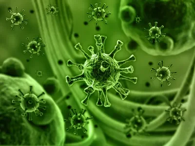 Virus