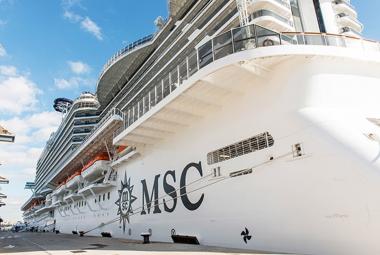 MSC Marine Ops Goes Carbon Neutral in Industry First