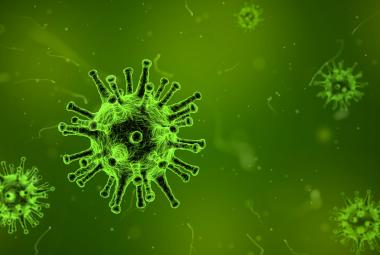 Virus under a microscope (source: qimono, Pixabay)