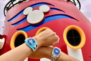 dcl disneyband