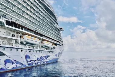 NCL viva