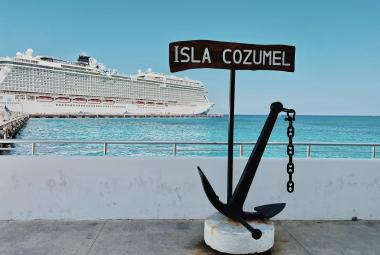 ncl bliss