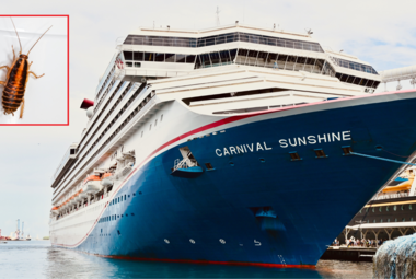 Carnival Sunshine Almost Fails Health Inspection