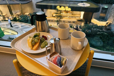 Icon-Central-Park-Balcony-Room-Service-1